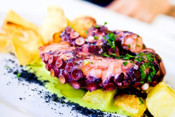 Octopus vs. Calamari – What’s the Difference? 3 A close-up of a purple octopus tendril served over a green sauce on a white plate.