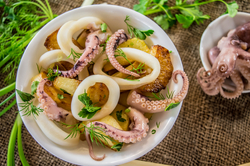 Octopus vs. Calamari